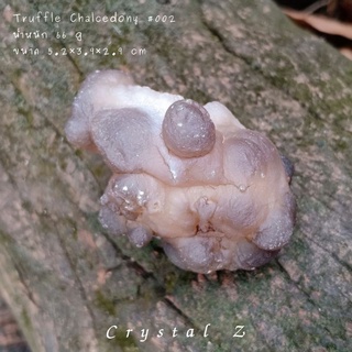 Truffle Chalcedony 🤎 #002#botryoidalchalcedony จากโมร็อคโค