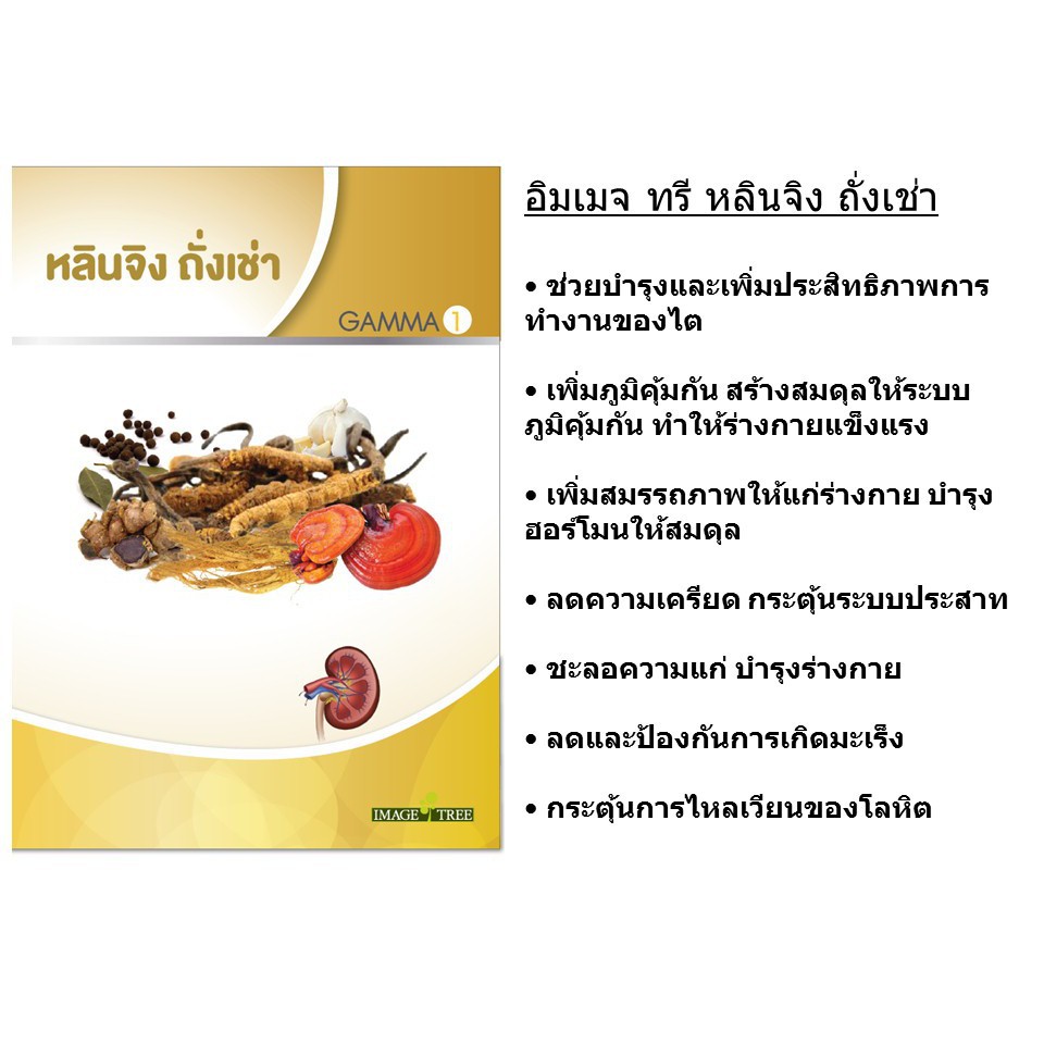 ภาพสินค้าIMAGE TREE หลินจิง ถั่งเช่า อิมเมจทรี กระปุก 30 เม็ด จากร้าน vitaminthailand บน Shopee ภาพที่ 1