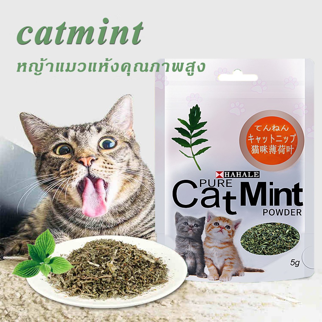 catnip-ผงแคทนิปแมว-แคทนิป-ราคาถูก-5-กรัม