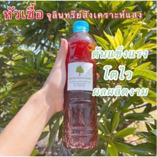 หัวเชื้อจุลินทรีย์สังเคราะห์แสง PSB สูตรเข้มข้น Organic100%☀️ ขยายต่อเองได้ ต้นแข็งแรง ผลผลิตเพิ่มขึ้น ขนาด600ml 1.5ลิตร