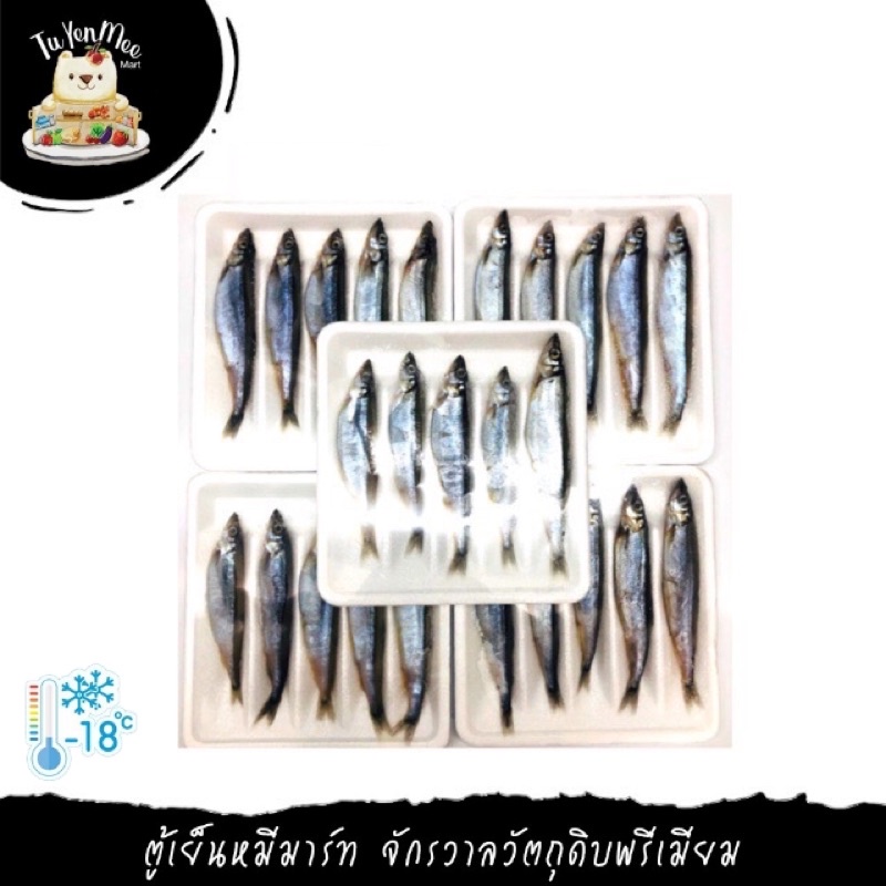 110G/PACK ปลาไข่ชิซาโมะ ไซส์ 3L จัมโบ้ FEMALE CAPELIN WITH ROE ...