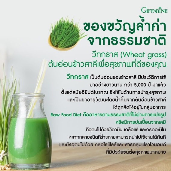 โลหิตจาง-วีทกราส-กีฟฟารีน-ลำไส้อักเสบ-ป้องกันมะเร็ง-ล้างสารพิษ-สารสกัด-ต้นอ่อนข้าวสาลี-wheat-grass-giffarine