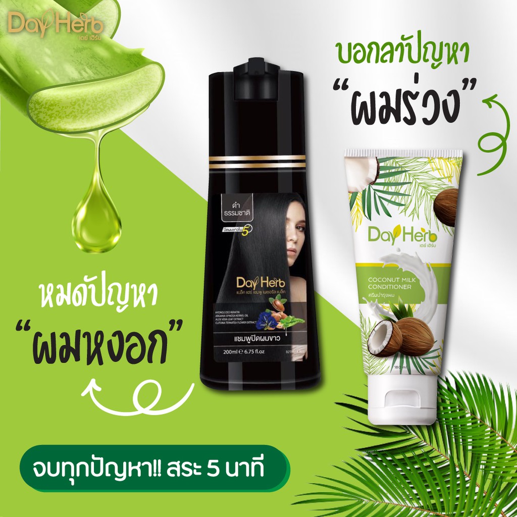 dayherb-แชมพูสมุนไพรปิดผมขาวสีดำ-4-ขวด-แถมฟรี-ทรีทเม้นท์บำรุงผม-1-ขวด-ปิดผมขาวได้ใน-5-นาที-ปิดผมขาวได้ใน-5-นาที