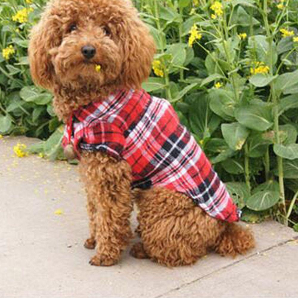 allgoods-เสื้อสุนัข-1-ชิ้นสไตล์อังกฤษลูกสุนัขผ้าฝ้ายชิวาวาปกอุปกรณ์สัตว์เลี้ยง