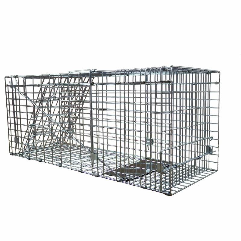 cattrap4you-xl-trap-cat-made-of-galvanized-กรงดักแมว-amp-กรงดักหมา-mycattrap-ปลอดภัยอย่าให้โดนสัตว์ขังกรงถังขยะกับดัก