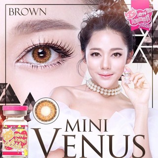 (1) Mini Venus Brown มินิ สีน้ำตาล น้ำตาล ขอบฟุ้ง ละมุน Kitty Kawaii ค่าอมน้ำสูง คอนแทคเลนส์ ค่าสายตา สายตาสั้น แฟชัน