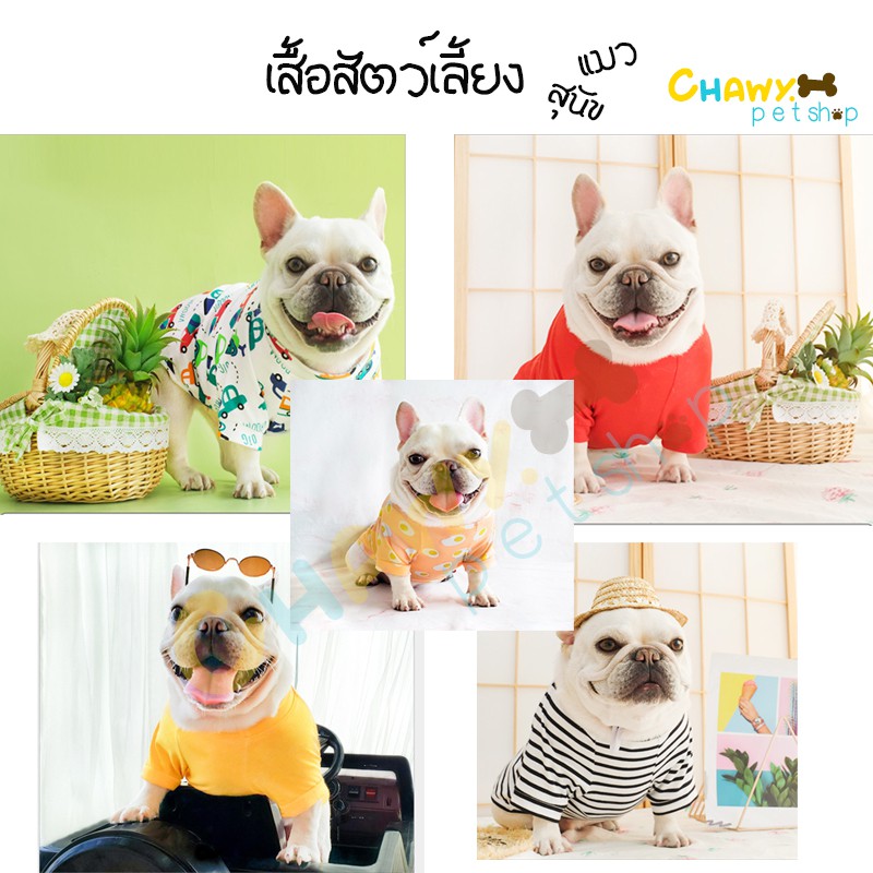 chawy-petshop-เสื้อสุนัข-เสื้อสัตว์เลี้ยง-ผ้าบาง-ใส่ห้องแอร์ได้-เฟร้นบลูดอก-frenchbulldog