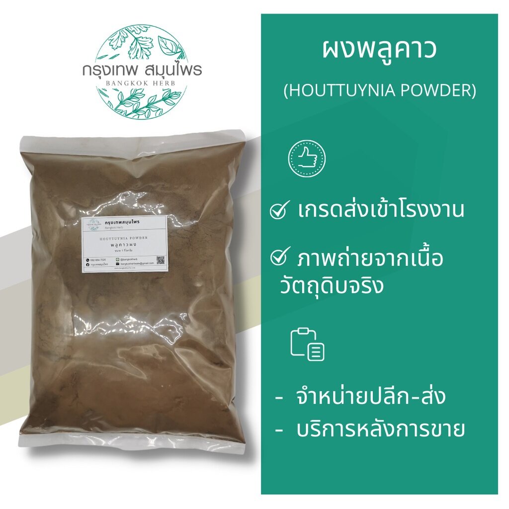 พลูคาวผง-1-กิโลกรัม-ผงพลูคาว-houttuynia-powder