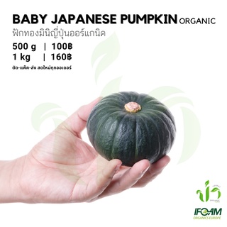 สินค้า ฟักทองมินิญี่ปุ่นออร์แกนิค Organic Baby Japanese Pumpkin มาตรฐานออร์แกนิค IFOAM ผักสลัด ผักสด เก็บ-แพ็ค-ส่ง ใหม่ทุกออเดอ