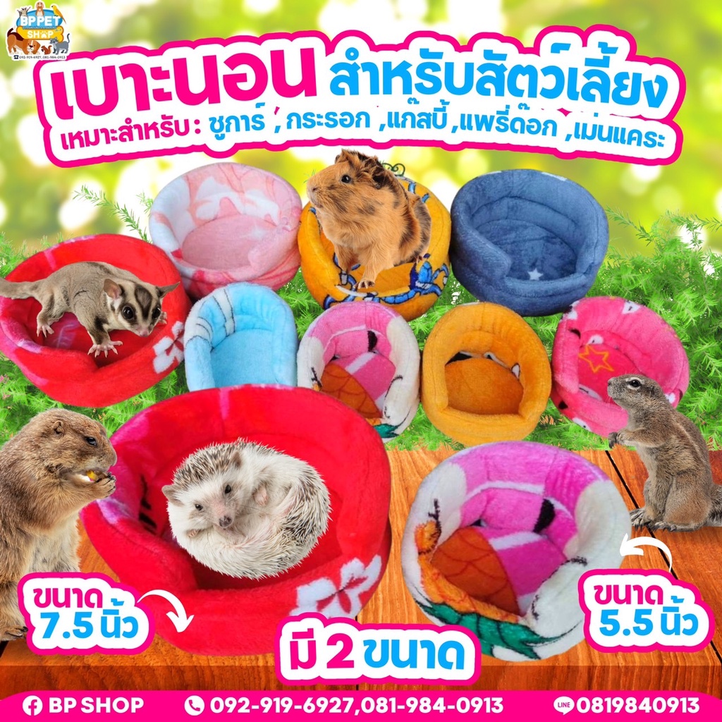 ที่นอนชูก้าร์-บ้านชูก้าร์-เบาะนอนชูก้าร์-บ้านชูก้าร์ไกลเดอร์-บ้านกระรอก-บ้านนก-ลิงมาโมเสท