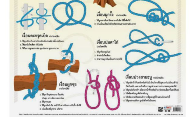 การผูกเงื่อน-eq-120-โปสเตอร์กระดาษหุ้มพลาสติก