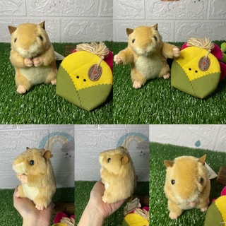 ตุ๊กตาแฮมสเตอร์มารยาทงาม แฮมสเตอร์สวัสดีจ้า🐹🙏🏻 บีบมีเสียง น่ารักมาก ขนนุ่ม Polite Hamster Plush Stuffed Toy Japan 4"