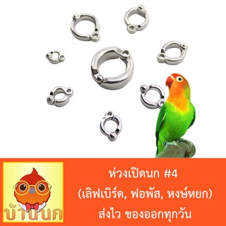 ห่วงเปิดนก #4 ห่วงขานก  แหวนนก (เลิฟเบิร์ด, ฟอพัส, หงษ์หยก)