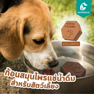 สินค้า Kalampa ก้อนสมุนไพรแช่น้ำดื่มสำหรับสัตว์เลี้ยง สุนัข แมว ช่วยปรับสมดุลย์ภายในร่างกาย ลดกลิ่นไม่พึงประสงค์ต่างๆ