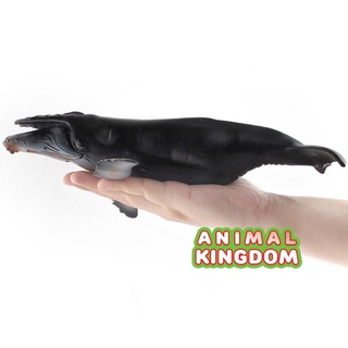 Animal Kingdom - โมเดลสัตว์ ปลาวาฬหลังค่อม ขนาด 28.00 CM (จากสงขลา)