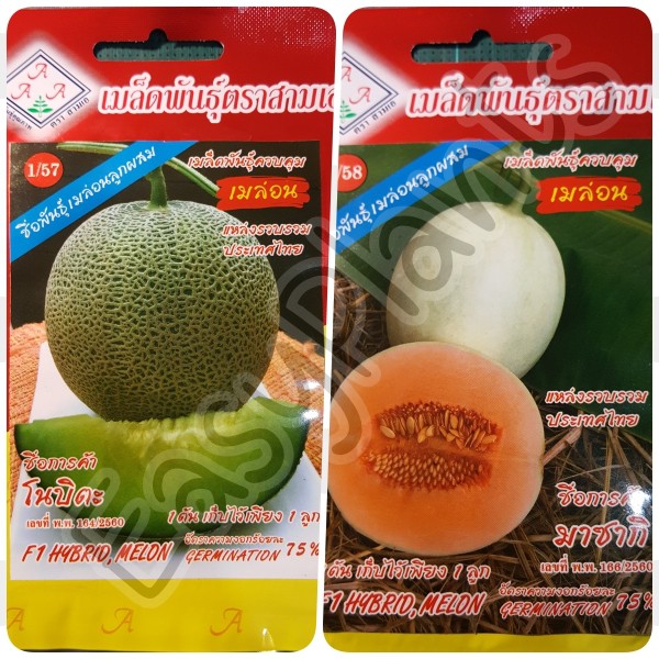 เมล็ดพันธุ์-ตรา-3a-เมล่อนลูกผสมสีเขียว-โนบิตะ-เมล่อนลูกผสมสีส้ม-มาซากิ-แคนตาลูป-แตงไทย-muskmelon-melon