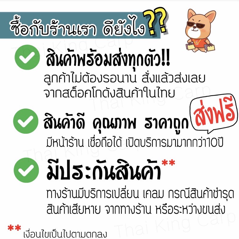 legoโหลปลากัดจิ๋วเลโก้-ทรงตัวต่อ-พร้อมส่ง-ราคาถูก