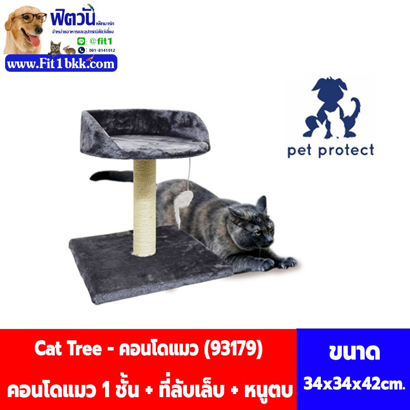 คอนโดแมว-1-ชั้น-cat-tree-93179