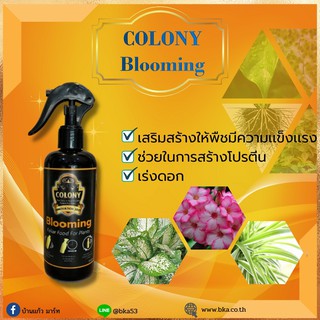 Colony-Blooming โคโลนี่ บลูมมิ่ง ช่วยให้พืชแข็งแรง สร้างโปรตีน ช่วยเร่งดอก ขนาดบรรจุ 500ml.