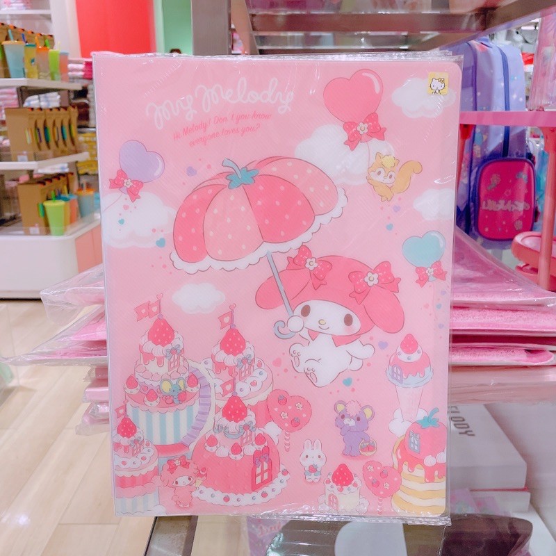 แฟ้ม-แฟ้มใส่เอกสาร-a4-size-file-book-30-pockets