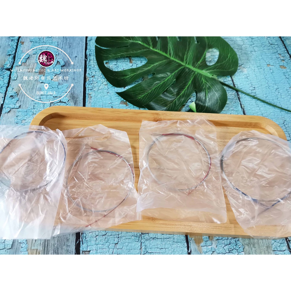 Pipa String Standard 普通 | Shopee Thailand