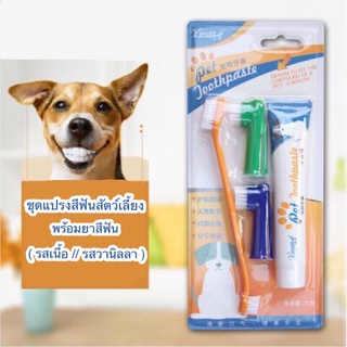 ภาพหน้าปกสินค้าชุดยาสีฟันสำหรับสุนัขและแมว ที่เกี่ยวข้อง