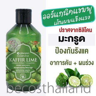 Poompuksa Kaffir Lime Herbal Extract Shampoo 250g ภูมิพฤกษา แชมพู Organic มะกรูด ดูแลปัญหารังแค ผมร่วง คัน