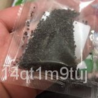 Catnip seeds头饰/内裤/母婴/文胸/手链/上衣/儿童/玫瑰/通心菜/苹果/ B4JD