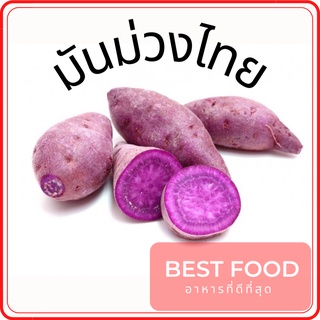 มันม่วงไทย ราคาถูก มันเทศ Sweet Potato