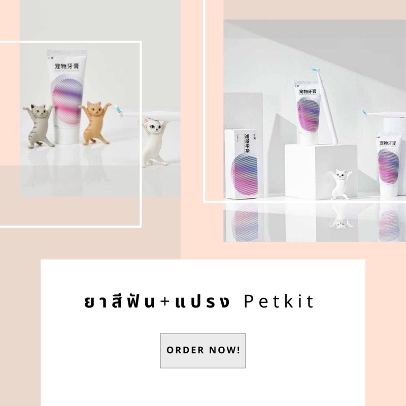 ยาสีฟัน-แปรงสีฟัน-petkit