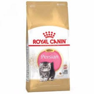 Royal Canin British Shorthair Kitten/Adult 10kg