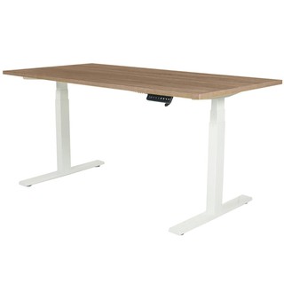 Desk STANDING DESK ERGOTREND SIT 2 STAND GEN2 150CM SONOMA/WHITE Office furniture Home &amp; Furniture โต๊ะทำงาน โต๊ะทำงานปร