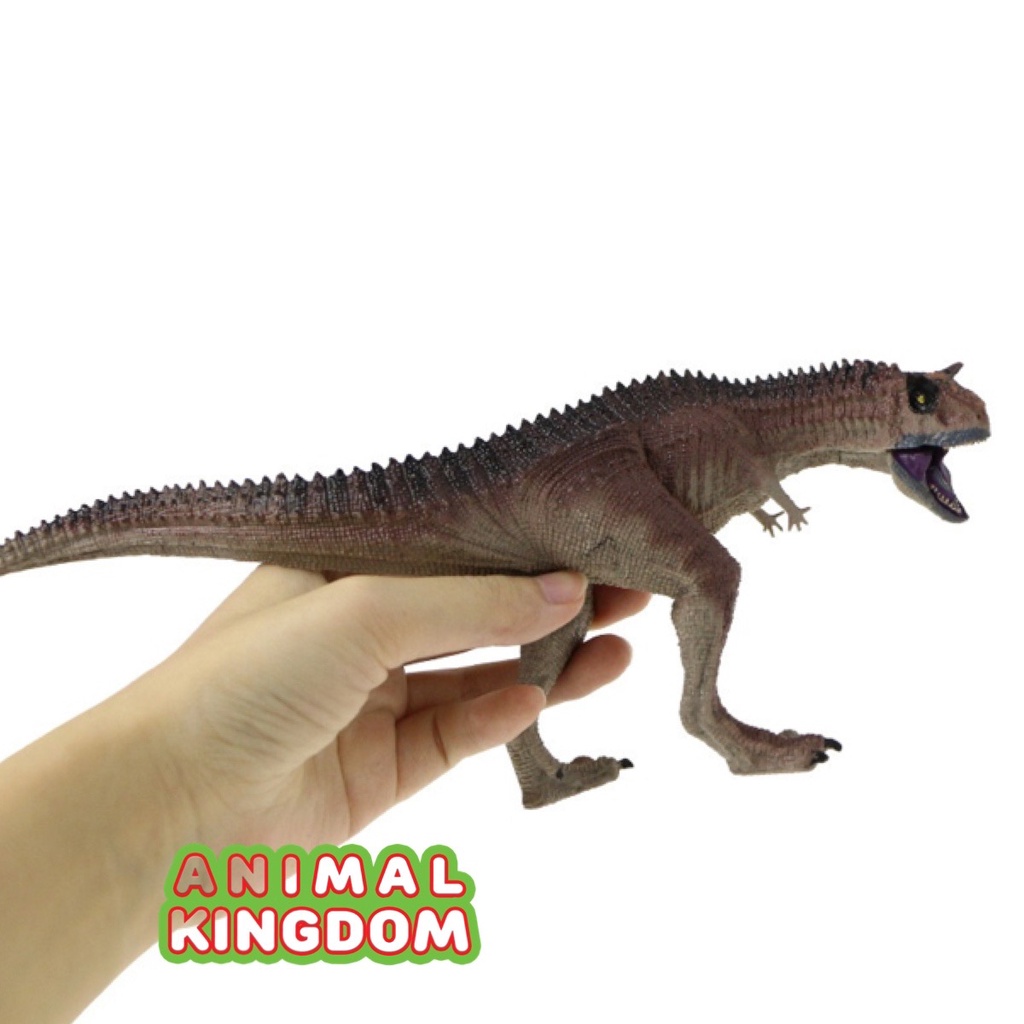 animal-kingdom-โมเดลไดโนเสาร์-camotaurus-เทา-ขนาด-27-00-cm-จากหาดใหญ่