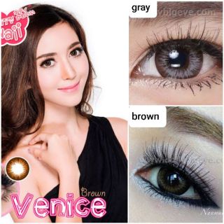 💖 Kitty Kawaii Venice brown gray Contactlens บิ๊กอาย คอนแทคเลนส์ ราคาถูก แถมตลับฟรี