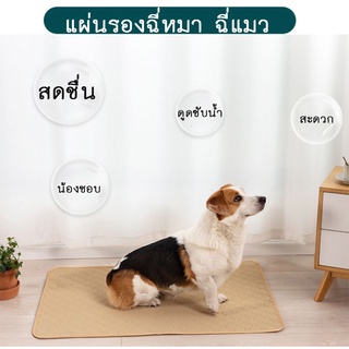 ภาพหน้าปกสินค้าPP-114-2 แผ่นรองฉี่สัตว์เลี้ยง สุนัข หมา แบบซักได้ แผ่นฝึกขับถ่าย สามารถใช้ซ้ำได้ แผ่นซับฉี่ ⭐️พร้อมส่ง⭐️ ซึ่งคุณอาจชอบราคาและรีวิวของสินค้านี้