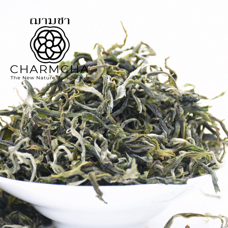 ราคาและรีวิวชาผู่เอ๋อร์ดิบ (RaW Pu'er Tea) ใบชา อุดมไปด้วยธาตุ ที่ดี ดื่มชาผ่อนคลายแล้วมีประโยชน์ Charmcha ฌามชา ใบชา ชาผู่เอ่อ