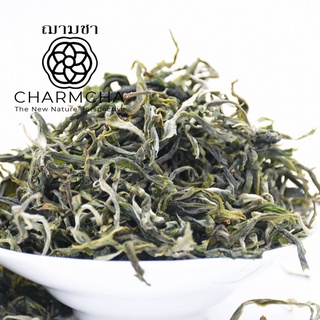ชาผู่เอ๋อร์ดิบ (RaW Puer Tea) ใบชา อุดมไปด้วยธาตุ ที่ดี ดื่มชาผ่อนคลายแล้วมีประโยชน์ Charmcha ฌามชา ใบชา ชาผู่เอ่อ