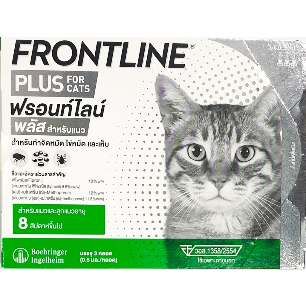 ล็อตใหม่-frontline-plus-cat-ยานอก-exp-2025-ฟร้อนท์ไลน์พลัส-แมว