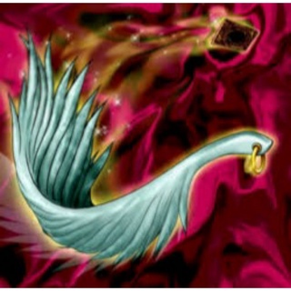 Yu-Gi-Oh Harpies Feather Duster (ไม้กวาดขนนกของฮาร์ปี้) ภาษาญี่ปุ่น ของแท้