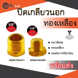 ข้อต่อทองเหลือง ข้อต่อประเภทปลั๊กอุดเกลียวนอก ปลั๊กอุดทองเหลืองตัวผู้ เกลียวนอก ตัวอุดเกลียวนอกทองเหลือง ปิดเกลียวนอก PK