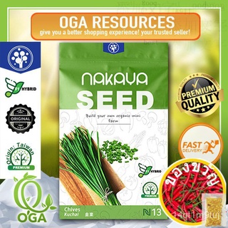 F1 Hybrid Vegetable Seed Chives / Benih Sayur Kuchai ／กระเทียมเมล็ด☘ Nakaya Seedผักกาดหอม /แอปเปิ้ล/เมล็ดพืช/seeds/กุหลา