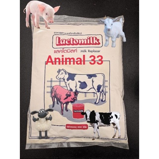 นมผง Lactomilk สำหรับสัตว์เลี้ยง โค สุกร แพะ แกะ กระบือ Exp 1/6/67