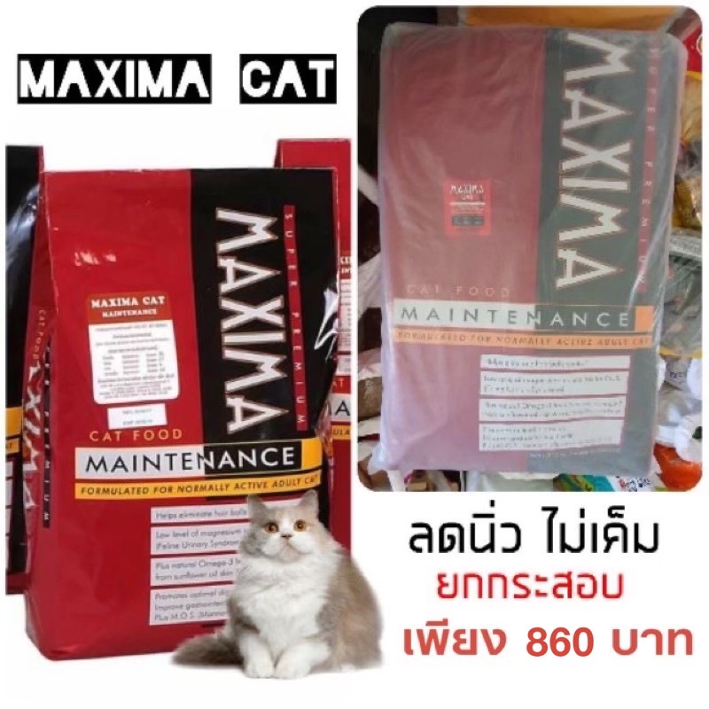 Maxima Cat Food 15 Kg แม็กซิม่า ขนาด 15 กิโลกรัม 1 กระสอบ | Shopee Thailand