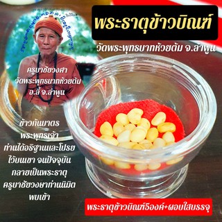 พระธาตุข้าวบิณฑ์ ครูบาชัยยะวงศา(ชุดละ5องค์+ผอบใสใส่พระธาตุ) เป็นข้าวจากการบิณฑบาตของพระพุทธเจ้าที่ท่านโปรยไว้