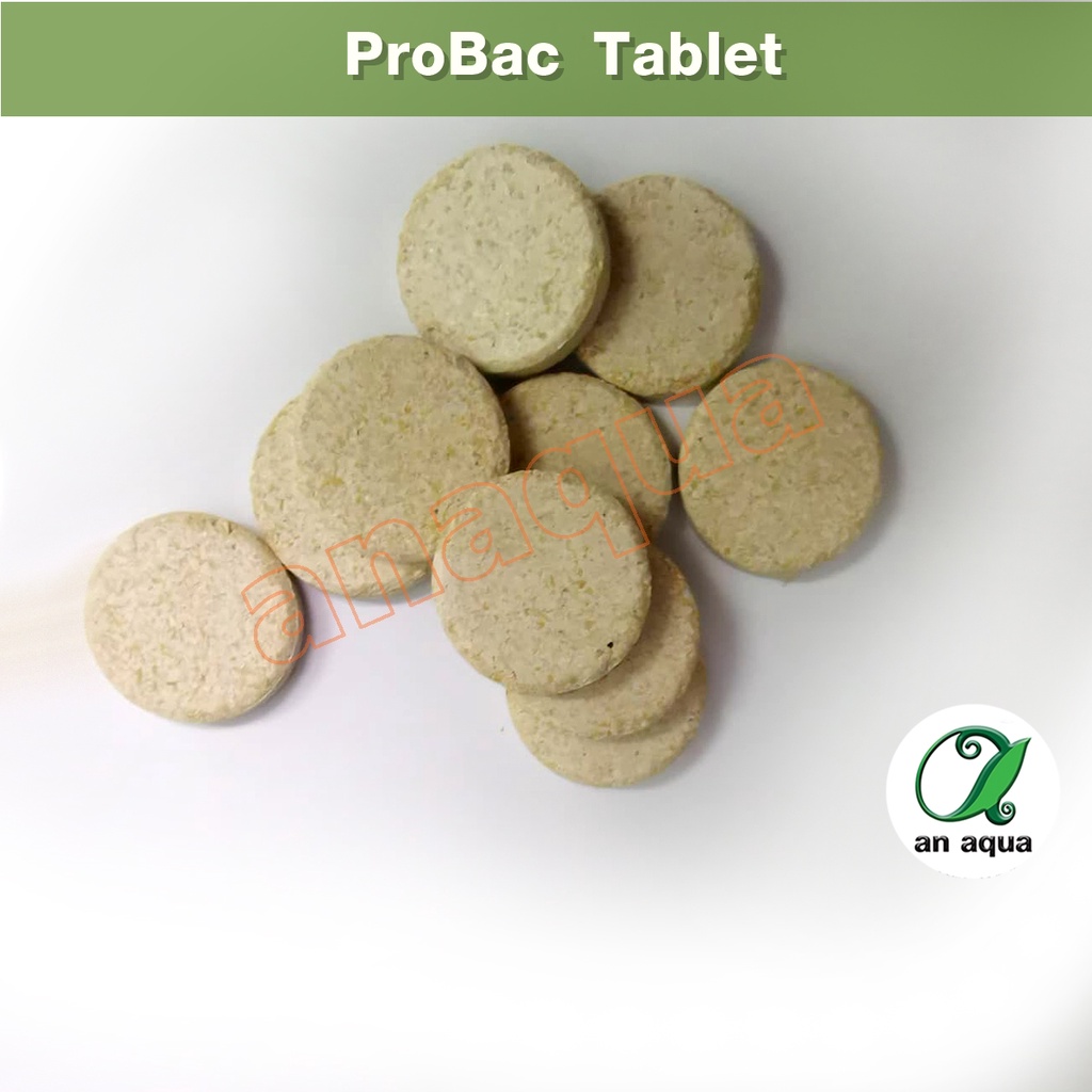 probac-แบคทีเรียอัดเม็ด-ลดของเสียในตู้ปลา