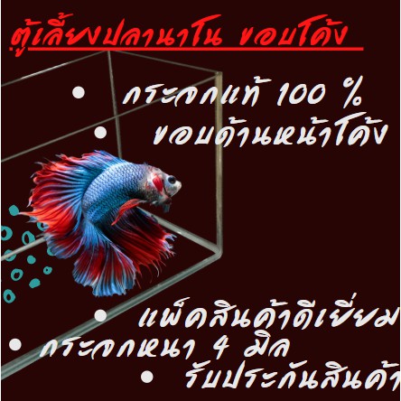 ตู้เลี้ยงปลานาโน-ขอบโค้ง-ขนาด-12-นิ้ว-ขอบด้านหน้าโค้ง-กระจกหนา-5-มิล