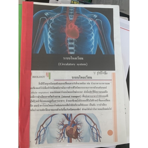 ชีทชีวะ-ระบบไหลเวียน-มือ-2-ใช้กระดาษ-recycle-ปริ้นสี-biology