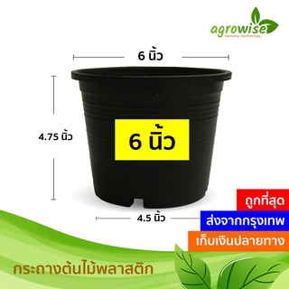 🌵 กระถางต้นไม้พลาสติก กระถางต้นไม้ สีดำ 6 นิ้ว ราคาส่ง