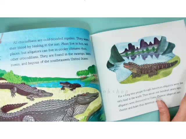 หนังสือความรู้มือสอง-who-lives-in-an-alligator-hole-มือสอง-ปกอ่อน-ขนาดประมาณa4-สภาพดี