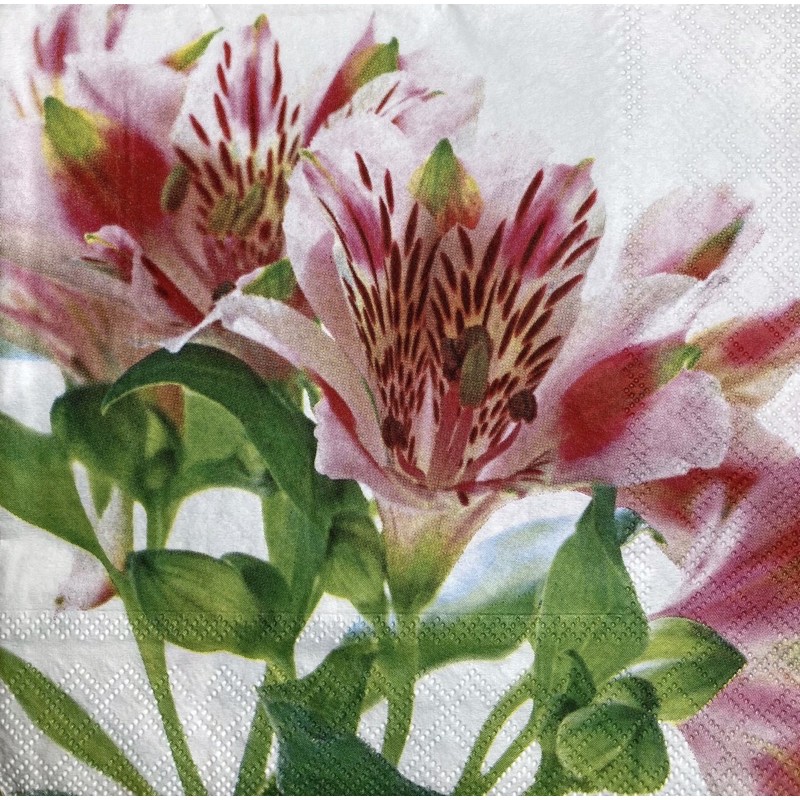 Paper napkin for decoupage ขนาด 33*33 cm. แบบแผ่น หรือ คละลาย Made in